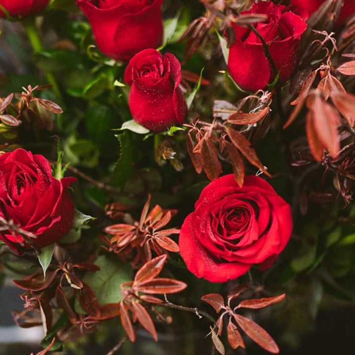 Classic Red Roses in Vase