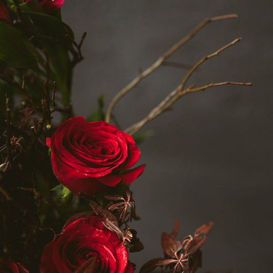 Rose Petals