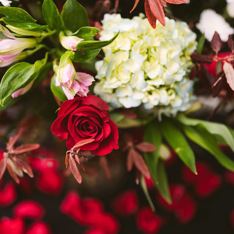 Two Deluxe Dozen Red Roses in Vase