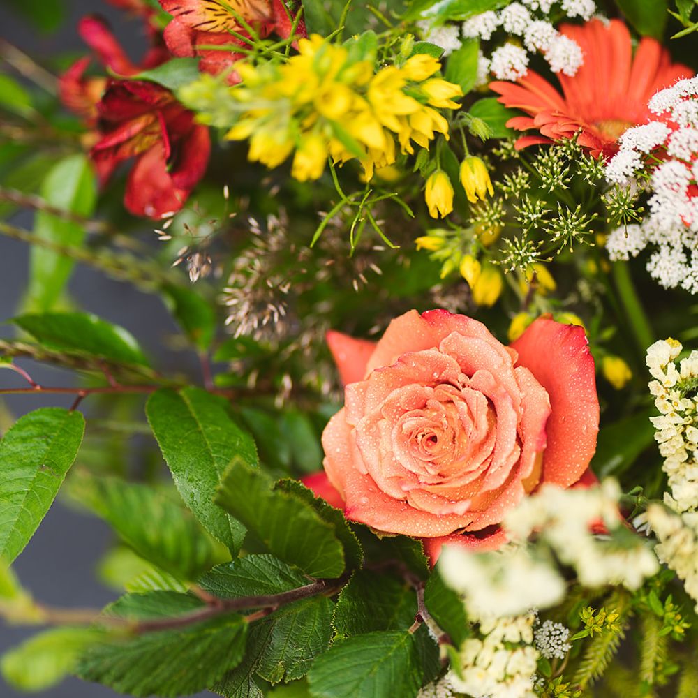 Medium Grab & Go Bouquet Without Vase