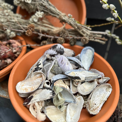 Newfoundland Botanical Keepsake (Add-On)