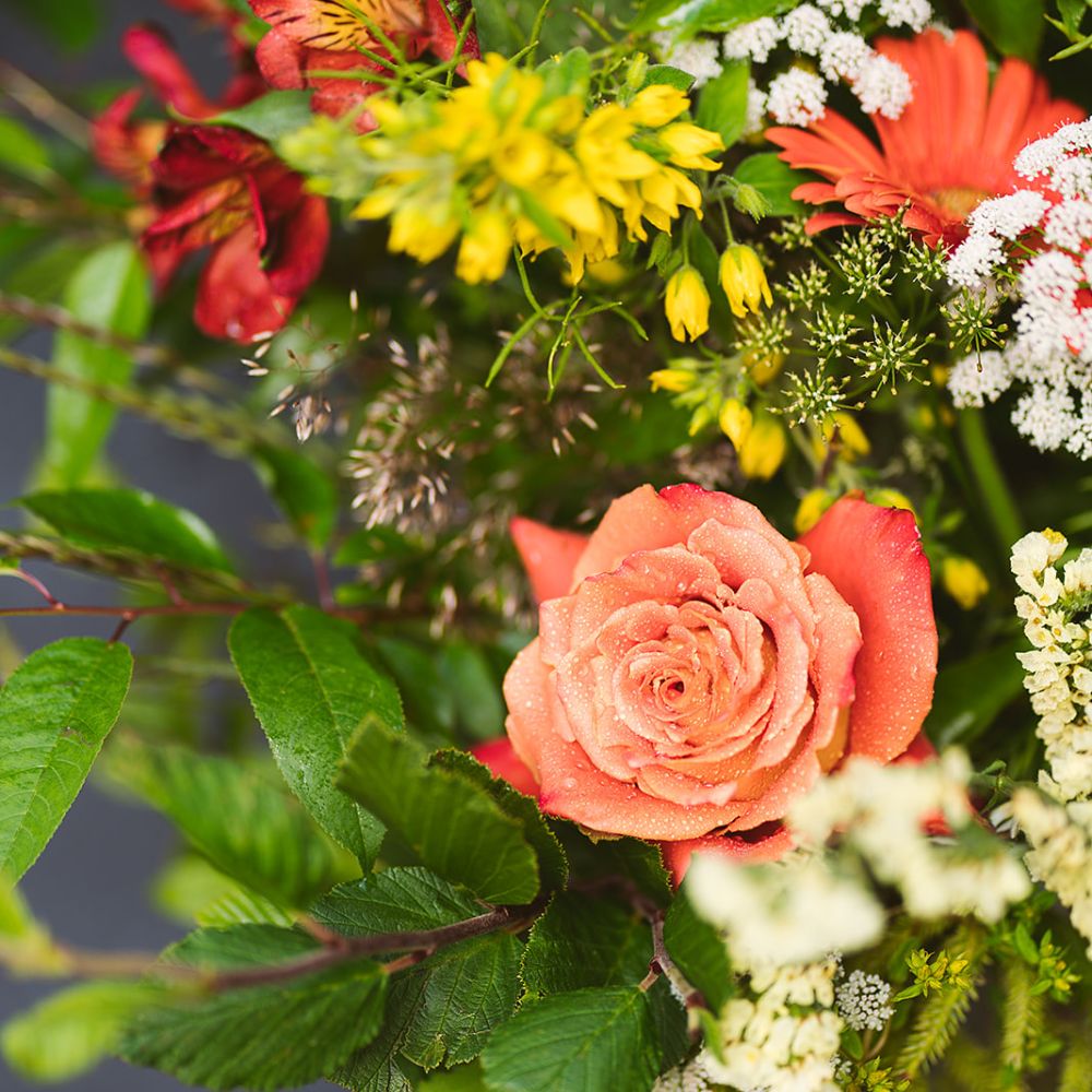 Grab & Go Bouquet Without Vase